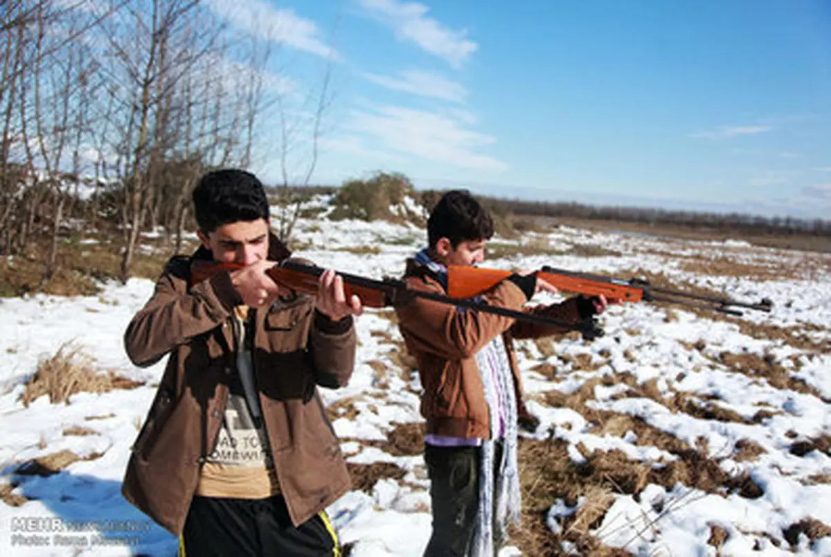 شکار گنجشک برای تفریح!/تصاویر