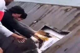 یه کانتینر با بار آیفون ۱۲ در دریا پیدا شد +فیلم