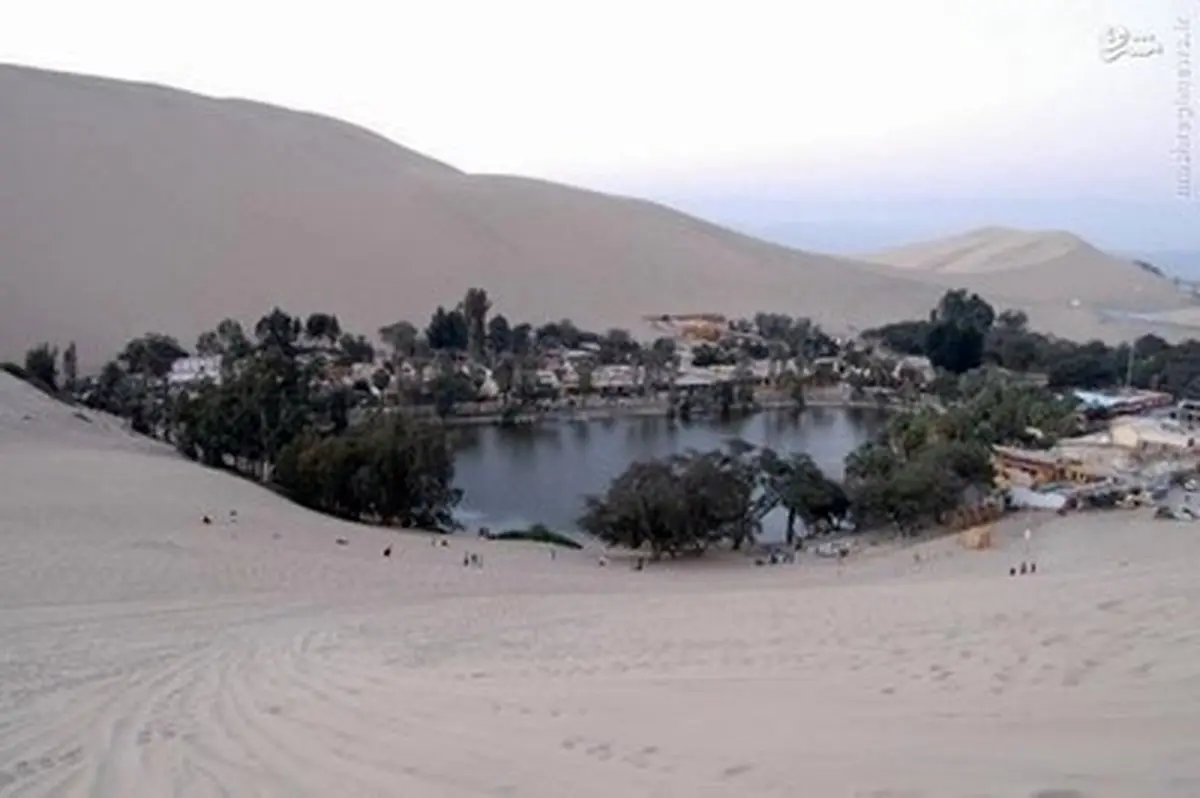 بهشتی در وسط بیابان / تصاویر
