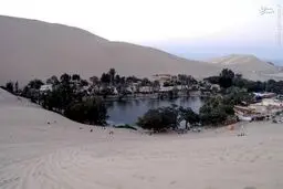 بهشتی در وسط بیابان / تصاویر