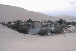 بهشتی در وسط بیابان / تصاویر