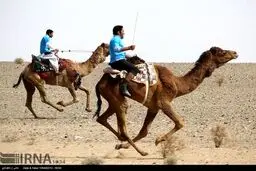 تصاویر مسابقات شترسواری قهرمانی کشور در اصفهان