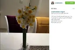 آزاده نامداری برای ایران بدون تحریم جشن می‌گیرد