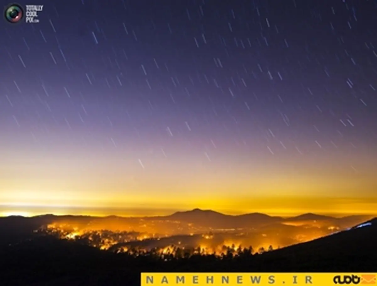 روایت تصویری ناب از آتش سوزی ناگوار جنگل+تصاویر