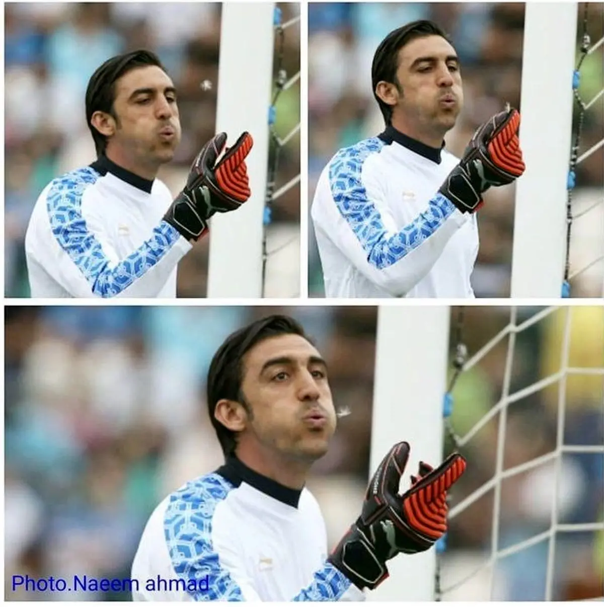 تصویری زیبا از قاصدکی که برای رحمتی خوش یمن نبود