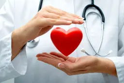 اگر می خواهید قلبی جوان داشته باشید از این 10غذا غافل نشوید