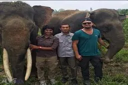 عکس یادگاری لئوناردو دی‌کاپریو با جاندارانی در معرض انقراض