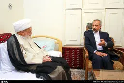 دیدار نهاوندیان با آیت الله صافی و آیت الله موسوی اردبیلی/تصاویر