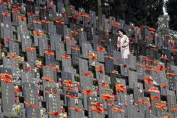 گورستان شهر ووهان چین را تا حالا دیدید؟ +عکس