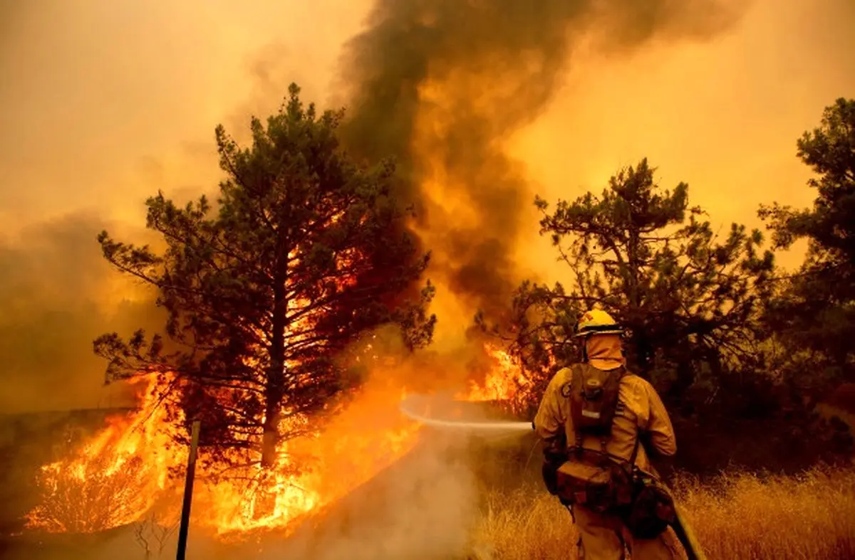 جهنم آتش در جنگل‌های کالیفرنیا /تصاویر