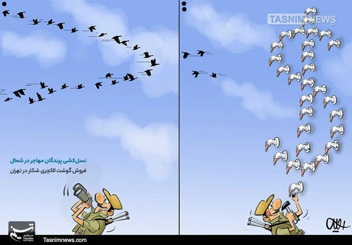 غذای‌لاکچری با گوشت پرندگان‌ مهاجر! / کاریکاتور