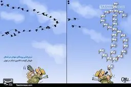 غذای‌لاکچری با گوشت پرندگان‌ مهاجر! / کاریکاتور