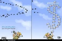 غذای‌لاکچری با گوشت پرندگان‌ مهاجر! / کاریکاتور