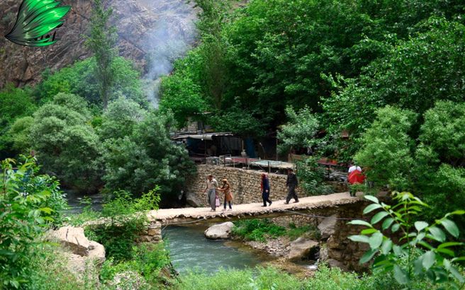 طبیعت زیبا و بکر پالنگان - کردستان / عکس