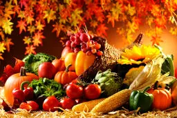 ۱۰ ماده غذایی شگفت انگیز برای تقویت بدن در روزهای پاییزی +دستورتهیه