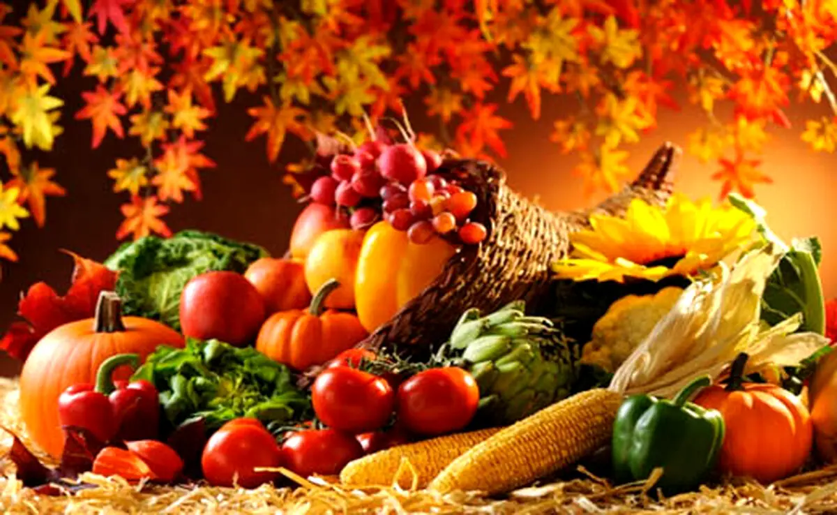 ۱۰ ماده غذایی شگفت انگیز برای تقویت بدن در روزهای پاییزی +دستورتهیه