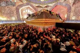 حرم امام علی در شب رحلت پیامبر اکرم / تصاویر