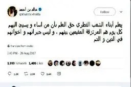 وزیر خارجه بحرین قطری‌ها را مزدور خواند/عکس