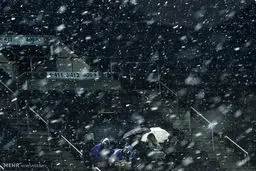 «برف بهاری» مردم آمریکا را هم غافلگیر کرد /تصاویر