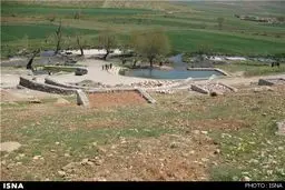 همه‌چیز درباره «فش» + عکس