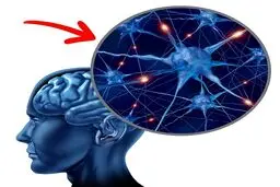 اگر روزی ۲ عدد تخم‌مرغ بخورید چه اتفاقی در بدنتان می‌افتد