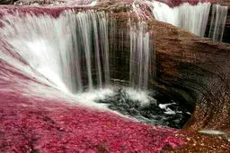زیباترین رودخانه جهان در 5 رنگ + تصاویر