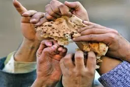 «قحطی نان» چقدر صحت دارد؟