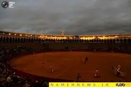 زندگی به سبک یک ماتادور!+تصاویر