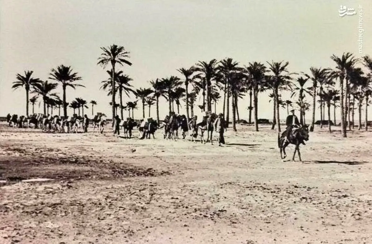 نفتکش‌های زمان قاجار را ببینید/عکس