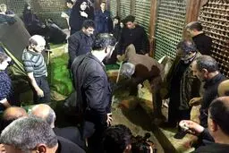 لحظه خاکسپاری آیت‌الله هاشمی رفسنجانی/عکس