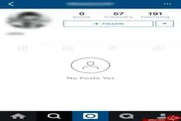 فالوورهای مرموز بهنوش بختیاری/ عکس