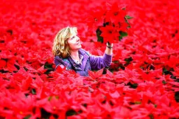 گلخانه‌ای زیبا در اسکاتلند/عکس