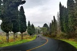 جاده‌ای دیدنی در مازندران/ عکس