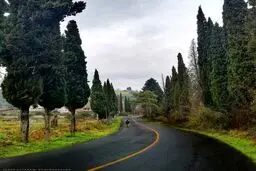 جاده‌ای دیدنی در مازندران/ عکس