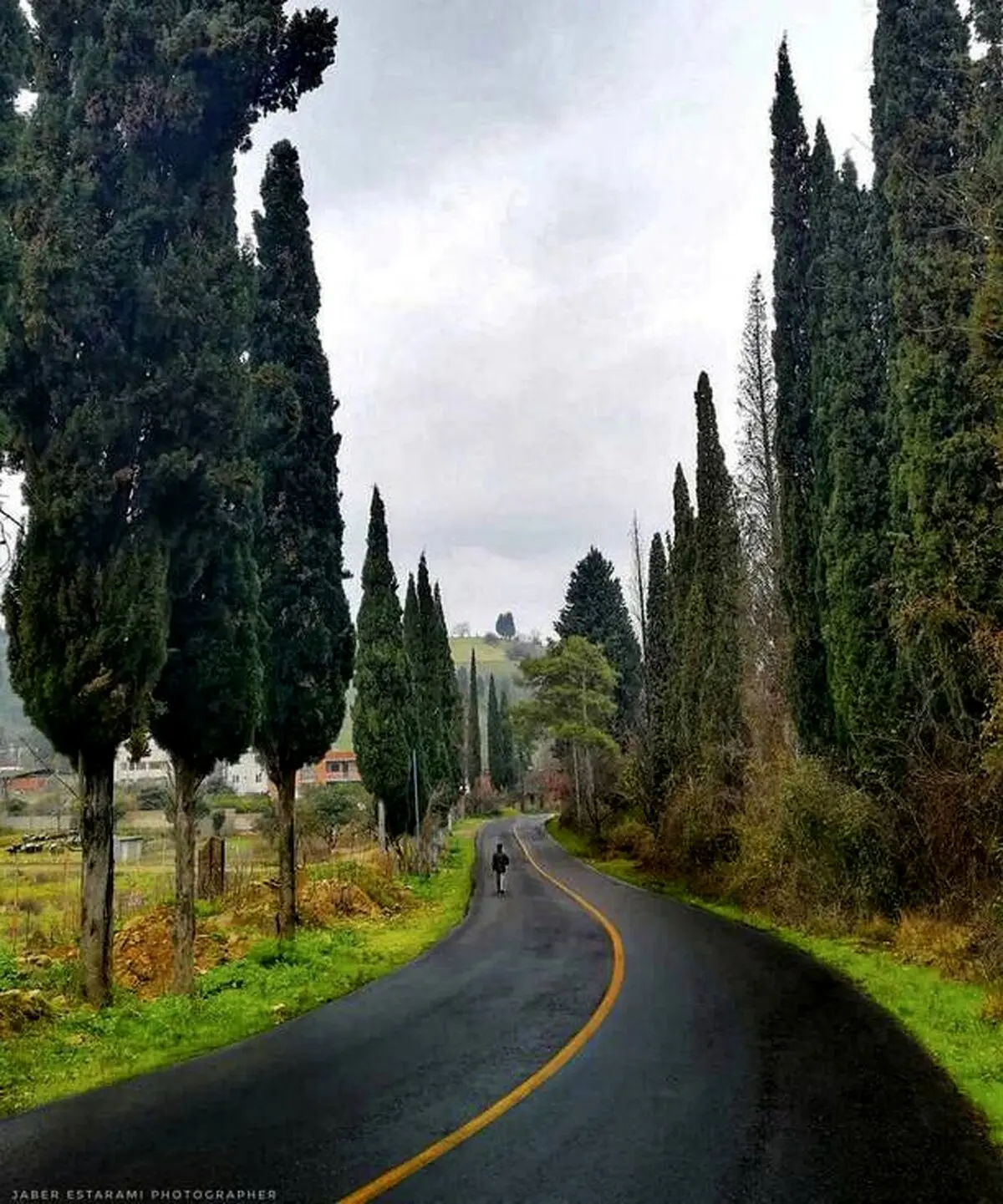 جاده‌ای دیدنی در مازندران/ عکس