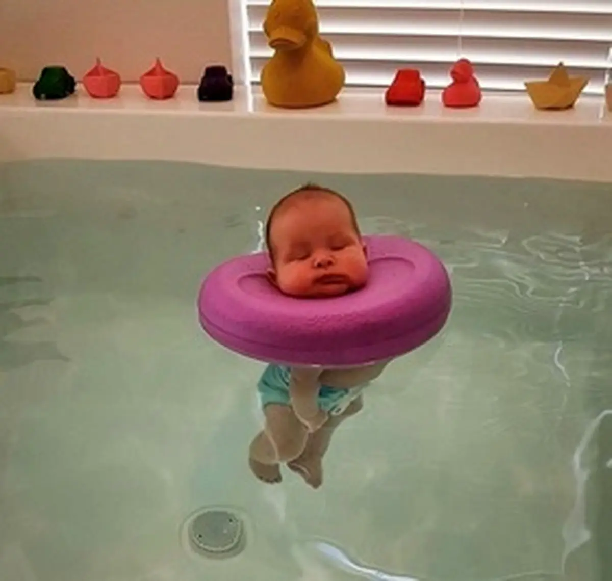 مشتریان خاص یک مرکز استحمام‌ و ماساژ درمانی!/تصاویر