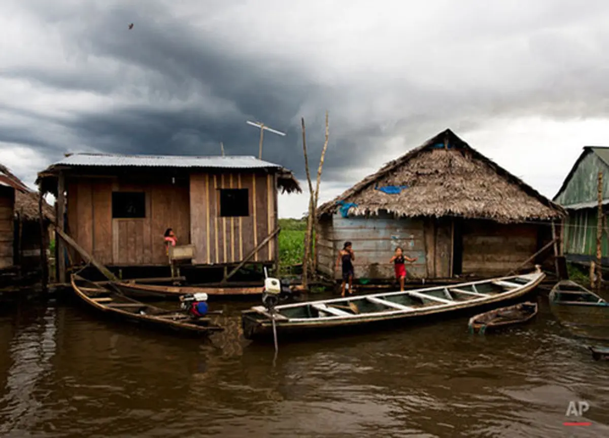 ونیزِ آمازون (+عکس)