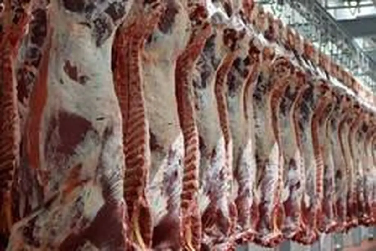 افشاگری روزنامه ایران درباره مافیای گوشت + جزئیات