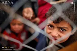 عملیات آزادسازی موصل از دست داعش/ تصاویر