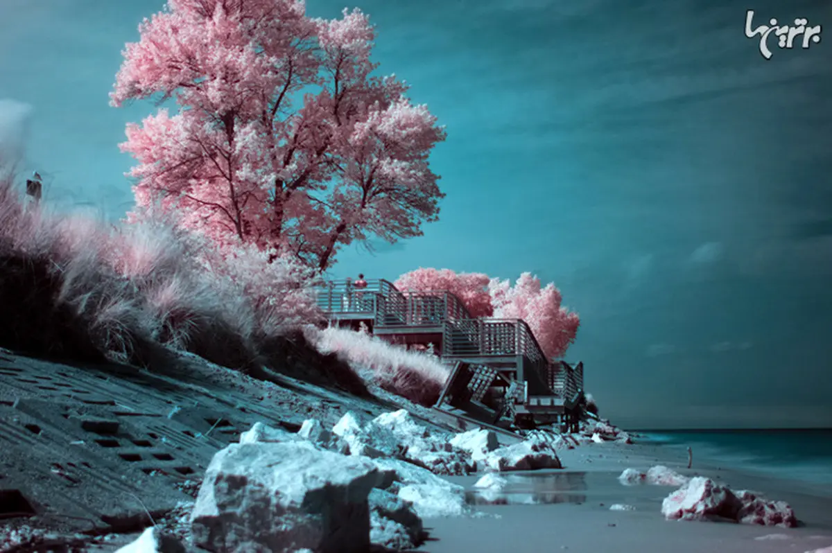 تصاویر مجذوب کننده!!