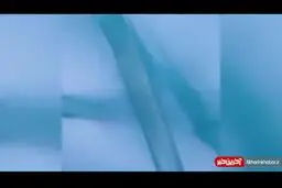 تصاویر میکروسکوپی از حضور ویروس کرونا روی ماسک‌ها + ویدئو