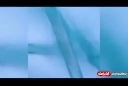 تصاویر میکروسکوپی از حضور ویروس کرونا روی ماسک‌ها + ویدئو