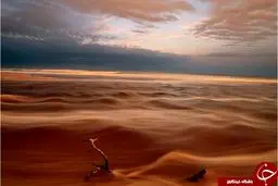 عکس های منتخب نشنال جئوگرافیک + تصاویر