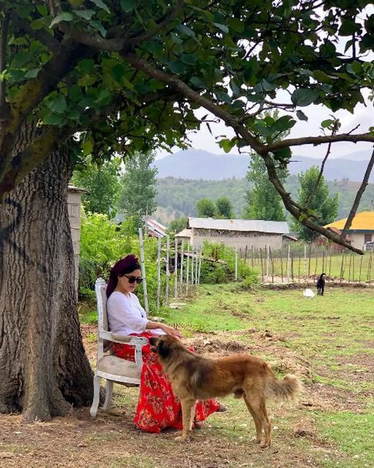 طبیعت گردی الناز شاکردوست با تیپی خاص/عکس