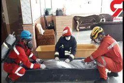 مرگ مشکوک زن شیرازی و ۲ دخترش در مسافرخانه+ تصاویر اجساد