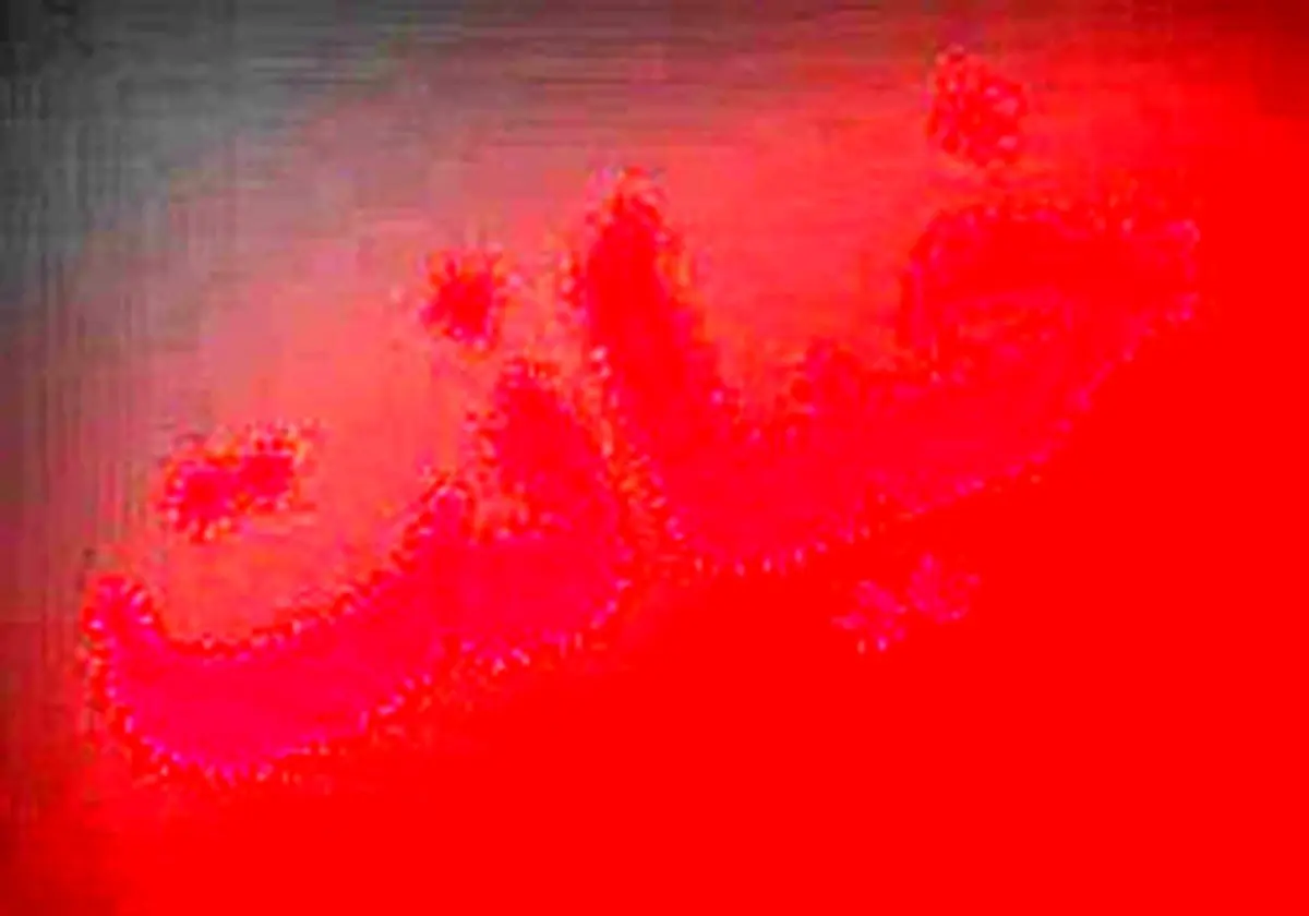 10 روز شوهرم را تعقیب کردم تا اینکه مچ او را در خانه یک زن بیوه گرفتم / شوهرم تلافی چندش آوری کرد !