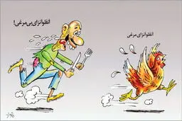 کاریکاتور / آنفلوآنزای مرغی و درد بی‌مرغی!