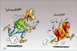 کاریکاتور / آنفلوآنزای مرغی و درد بی‌مرغی!