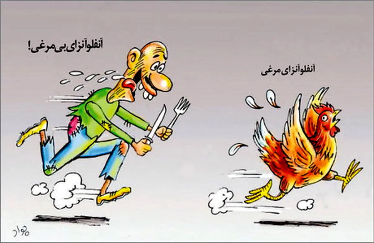کاریکاتور / آنفلوآنزای مرغی و درد بی‌مرغی!
