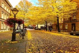 عکس بی نظیری که فلور نظری از پاییز محل زندگی اش در آلمان منتشر کرد